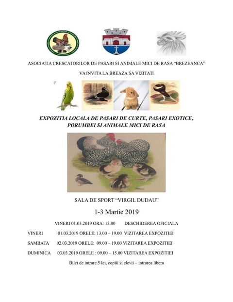  - T--TARGURI SI EXPOZITII