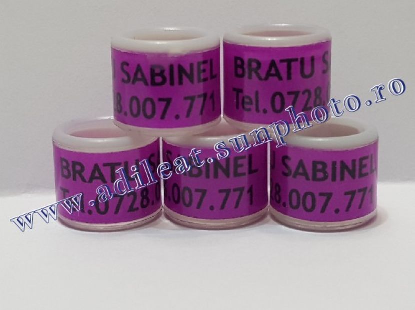 TextArt_190215221559 - 1-A-INELE PERSONALIZATE 2019