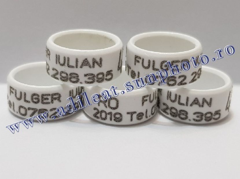 TextArt_190215221424 - 1-A-INELE PERSONALIZATE 2019