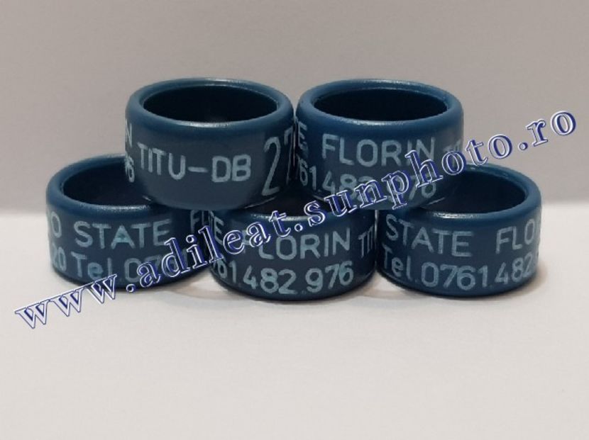 TextArt_190215221409 - 1-A-INELE PERSONALIZATE 2019