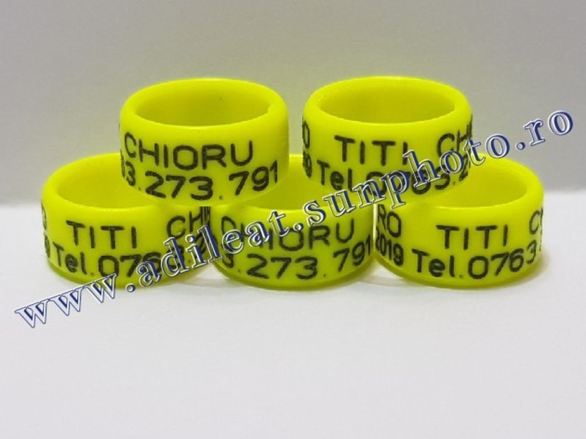 TextArt_190215221437 - 1-A-INELE PERSONALIZATE 2019