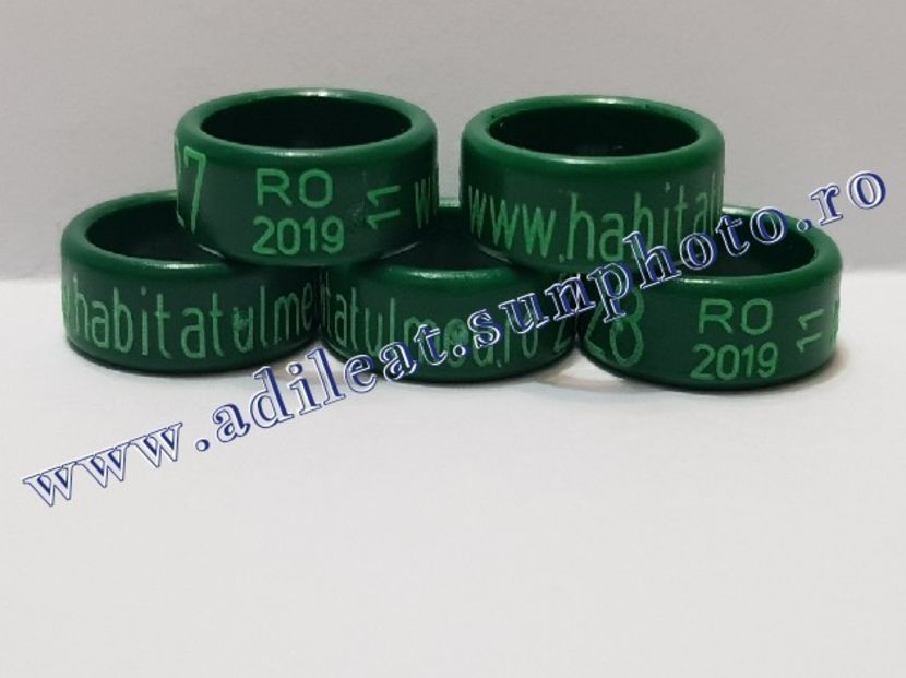 TextArt_190215221454 - 1-A-INELE PERSONALIZATE 2019