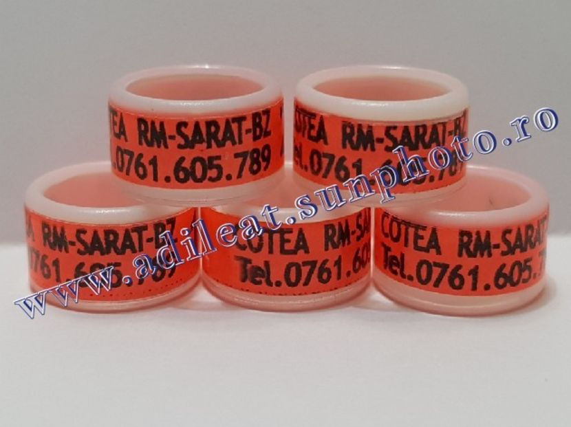 TextArt_190215221516 - 1-A-INELE PERSONALIZATE 2019