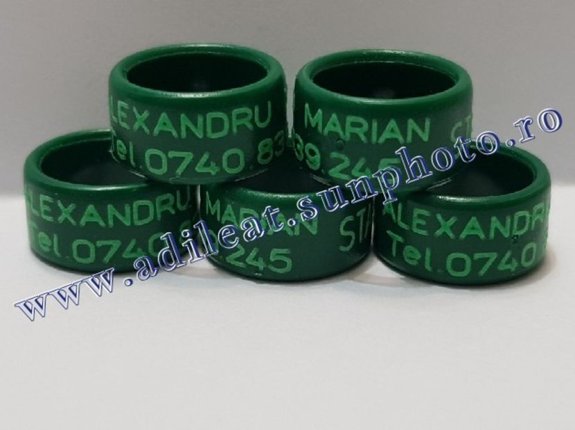 TextArt_190215221330 - 1-A-INELE PERSONALIZATE 2019