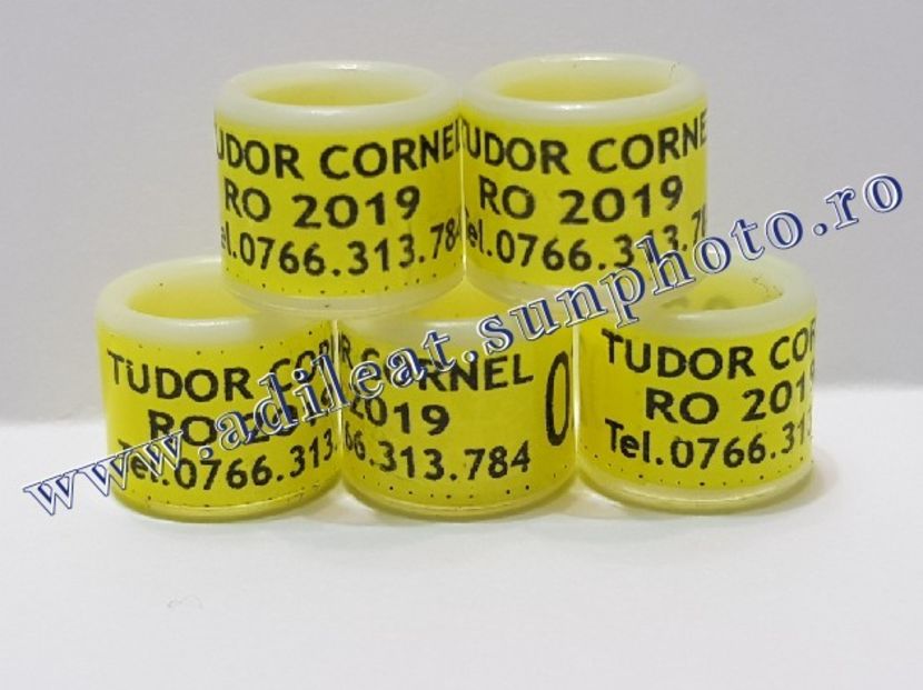 TextArt_190215221539 - 1-A-INELE PERSONALIZATE 2019