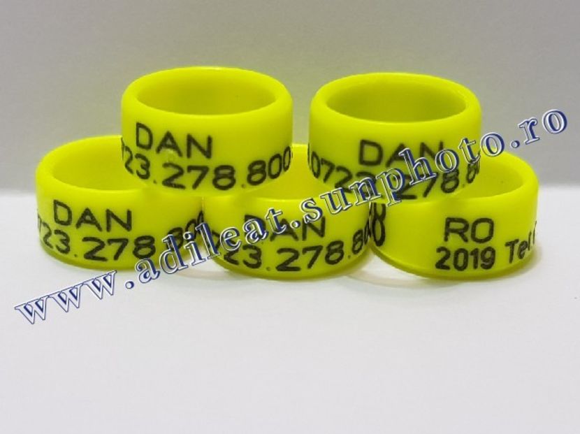 TextArt_190215221359 - 1-A-INELE PERSONALIZATE 2019