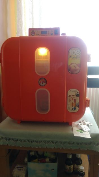 P_20190216_132213 - Incubator in probe 2019