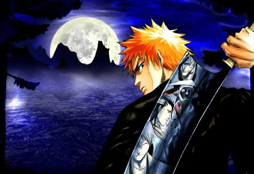 496611u5rg9d8q44[1] - Bleach