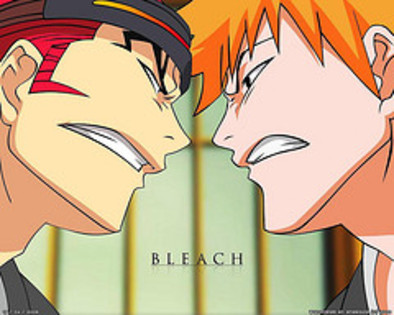 2479474129_cddc36e5ec_m[1] - Bleach