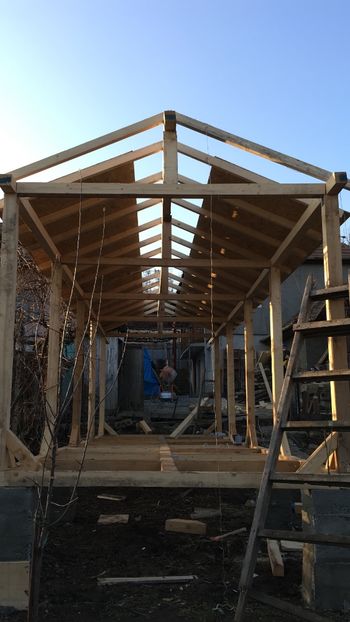 238C29CA-BE61-4487-818F-F56BD9270D19 - Voliera