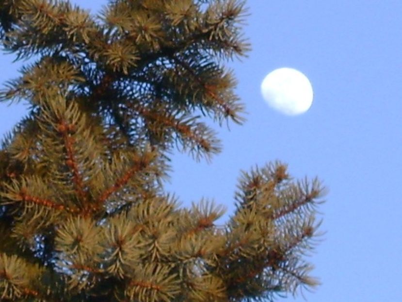 Luna in crestere in Rac - Luna - Soarele si norii - 1