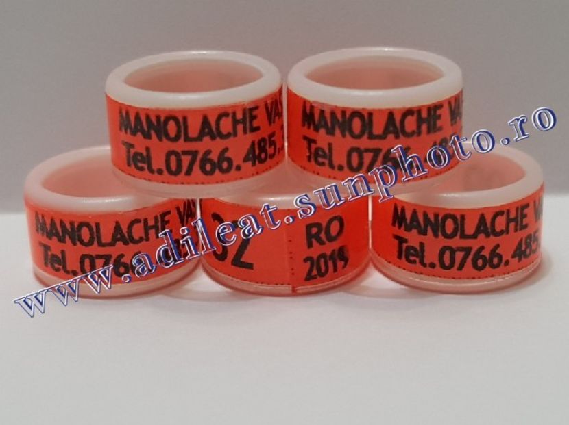 TextArt_190215221624 - 1-A-INELE PERSONALIZATE 2019