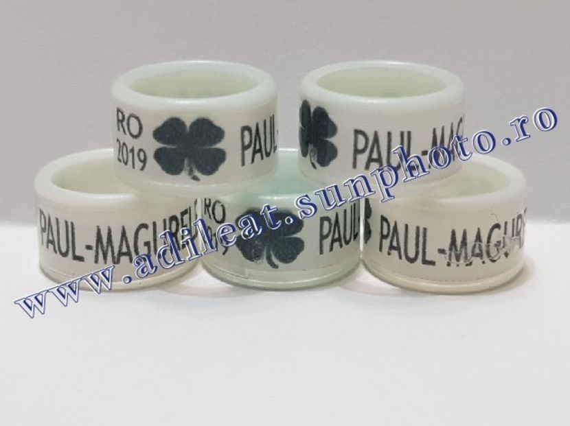 TextArt_190215221610 - 1-A-INELE PERSONALIZATE 2019