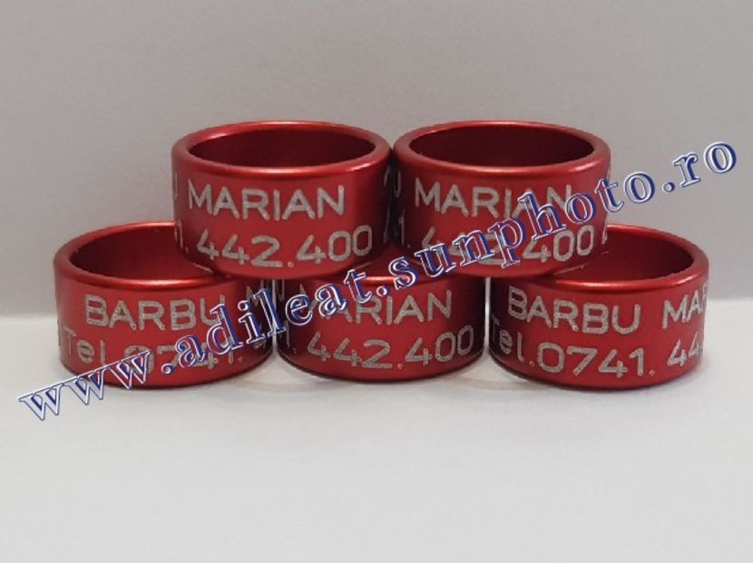 TextArt_190216212141 - 1-A-INELE PERSONALIZATE 2019