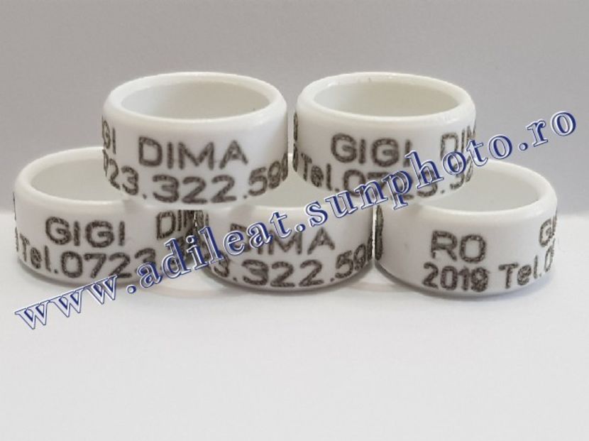 TextArt_190216211844 - 1-A-INELE PERSONALIZATE 2019