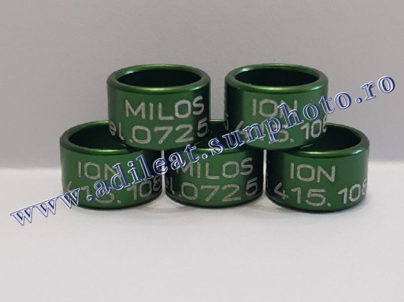 TextArt_190216212128 - 1-A-INELE PERSONALIZATE 2019