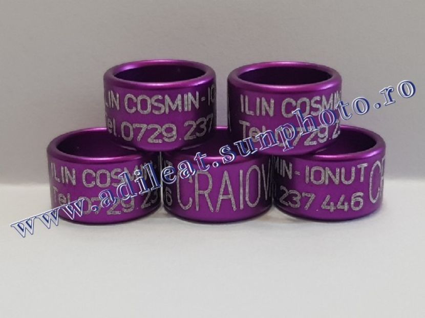 TextArt_190216212209 - 1-A-INELE PERSONALIZATE 2019