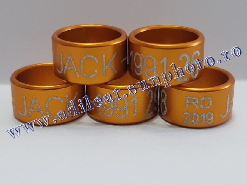 TextArt_190216211913 - 1-A-INELE PERSONALIZATE 2019