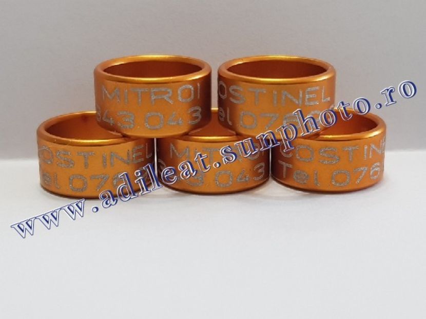 TextArt_190216212158 - 1-A-INELE PERSONALIZATE 2019