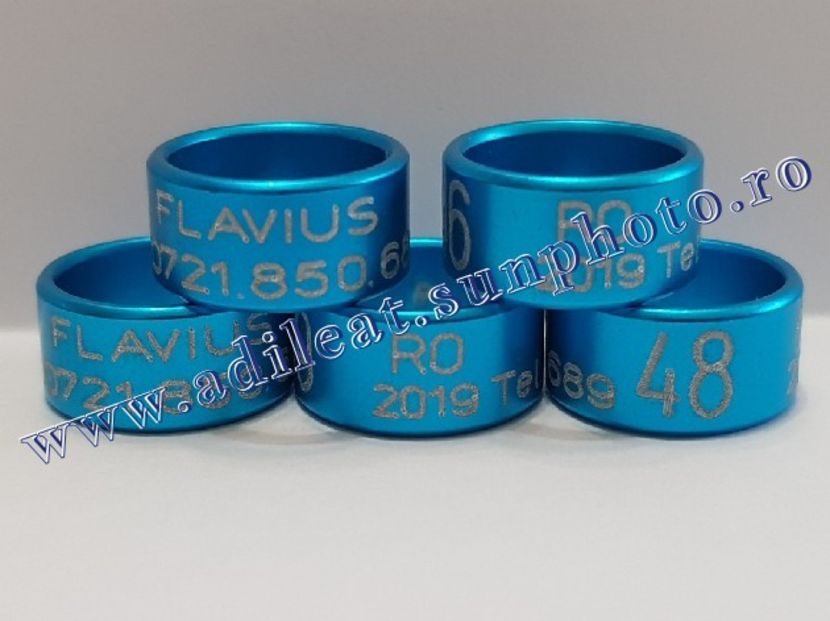 TextArt_190216211859 - 1-A-INELE PERSONALIZATE 2019