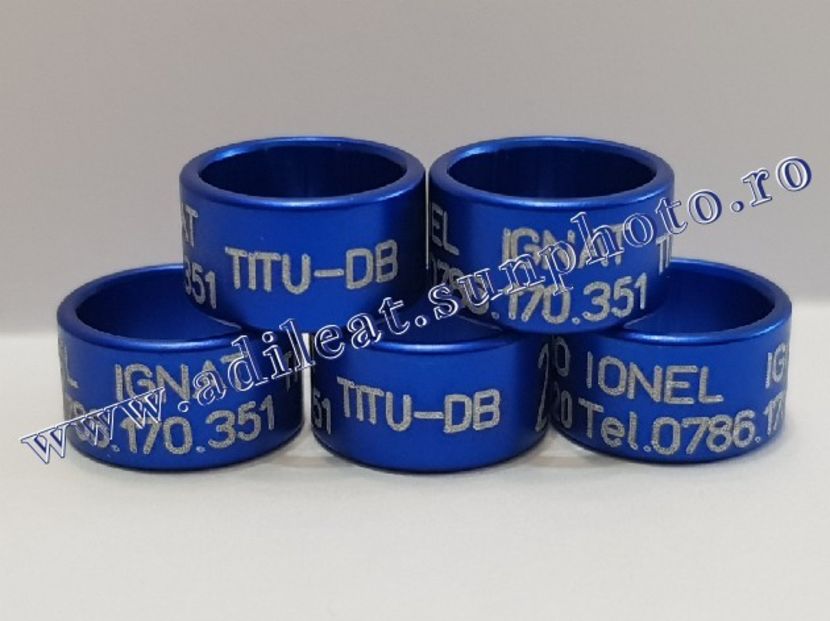 TextArt_190216211940 - 1-A-INELE PERSONALIZATE 2019