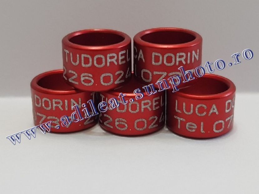 TextArt_190216211924 - 1-A-INELE PERSONALIZATE 2019