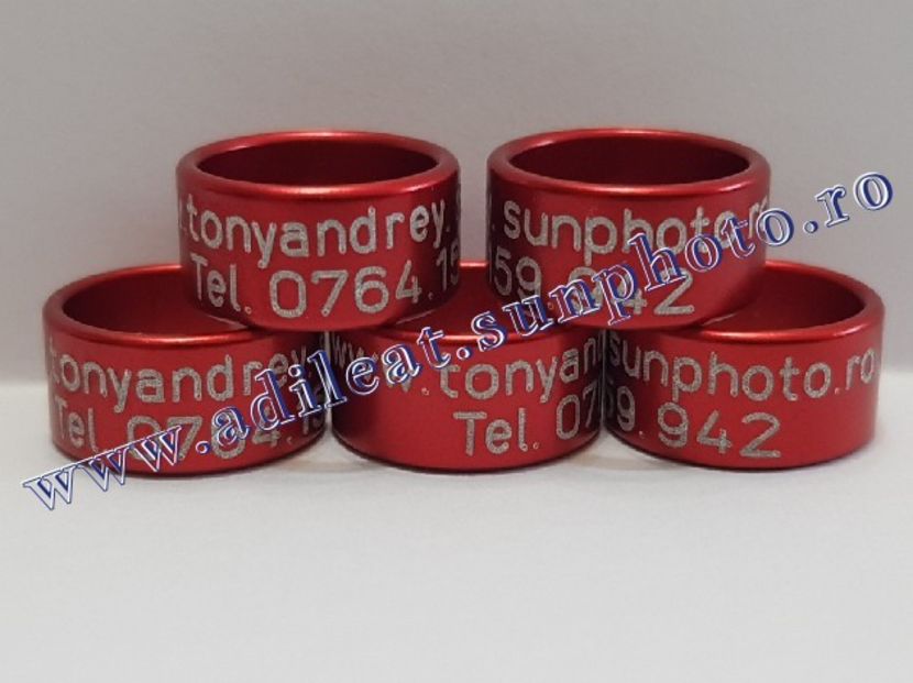 TextArt_190216212010 - 1-A-INELE PERSONALIZATE 2019