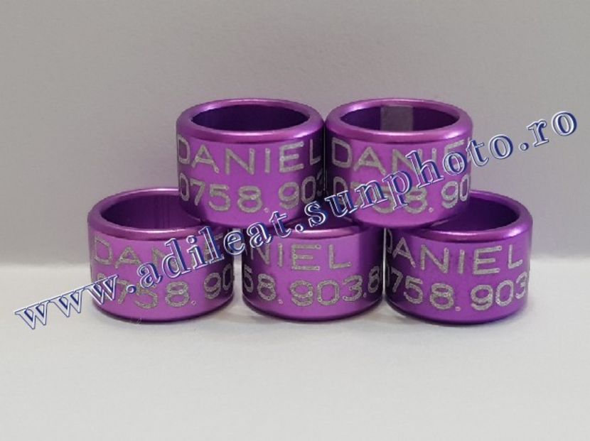 TextArt_190216211951 - 1-A-INELE PERSONALIZATE 2019