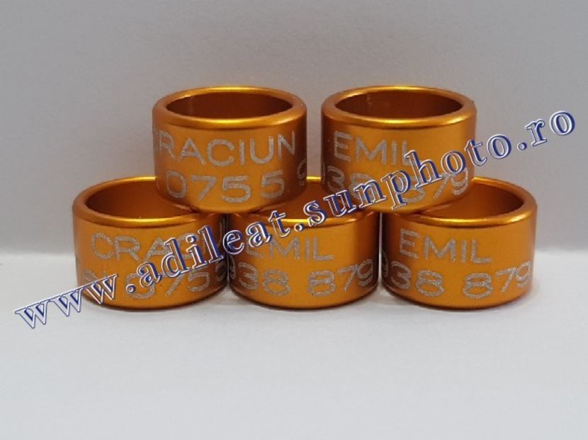 TextArt_190216212105 - 1-A-INELE PERSONALIZATE 2019