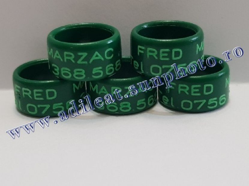 TextArt_190216211803 - 1-A-INELE PERSONALIZATE 2019