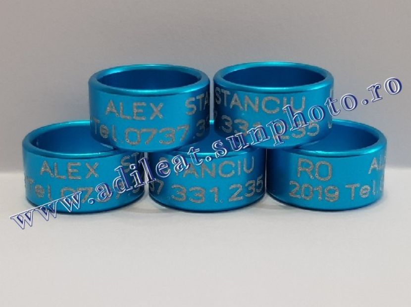 TextArt_190216212052 - 1-A-INELE PERSONALIZATE 2019