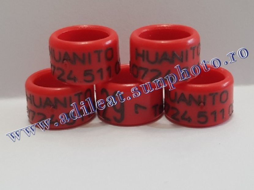 TextArt_190216211753 - 1-A-INELE PERSONALIZATE 2019