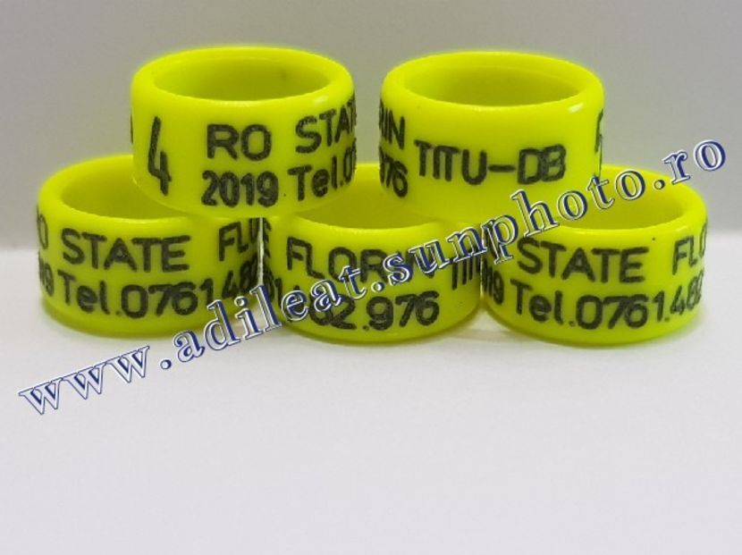 TextArt_190216211833 - 1-A-INELE PERSONALIZATE 2019