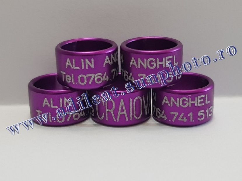 TextArt_190216212116 - 1-A-INELE PERSONALIZATE 2019