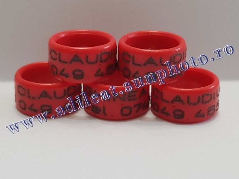 TextArt_190216211817 - 1-A-INELE PERSONALIZATE 2019