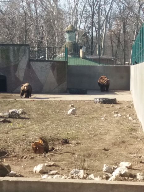  - Craiova februarie 2019