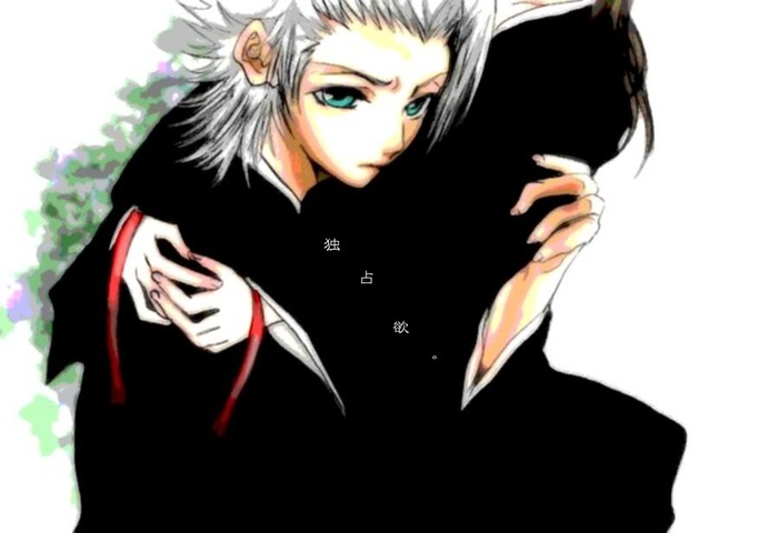 HitsugayaxHinamori098[1]