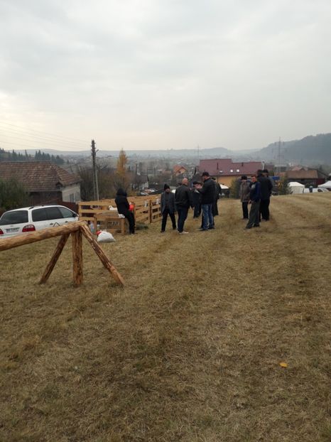  - EXPOZITIA ANIMALE SARMAS HARGHITA 2018