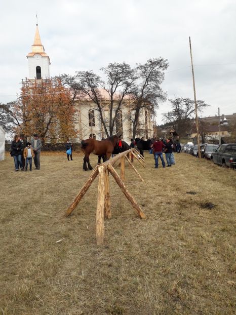  - EXPOZITIA ANIMALE SARMAS HARGHITA 2018