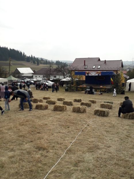  - EXPOZITIA ANIMALE SARMAS HARGHITA 2018