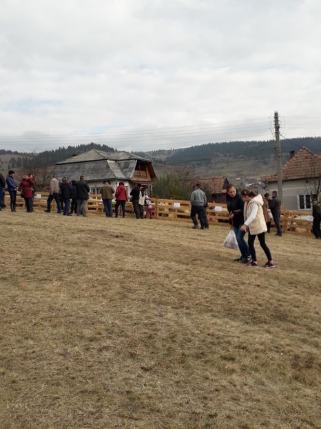  - EXPOZITIA ANIMALE SARMAS HARGHITA 2018