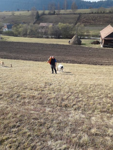  - EXPOZITIA ANIMALE SARMAS HARGHITA 2018