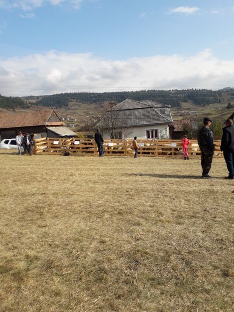  - EXPOZITIA ANIMALE SARMAS HARGHITA 2018