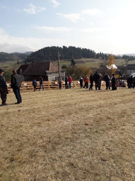  - EXPOZITIA ANIMALE SARMAS HARGHITA 2018