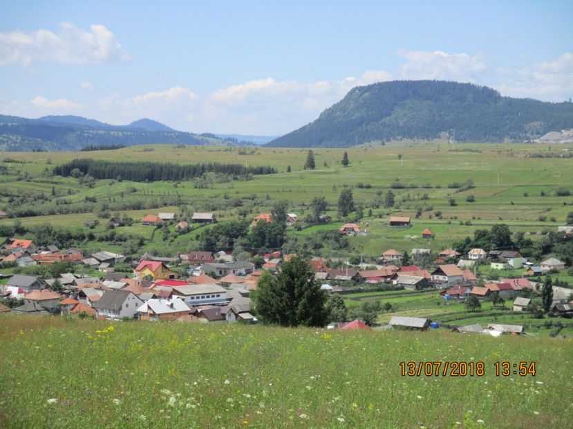 Valea Toplitei si Tarnita - Poze noi 2018 Tapul Petre la monta plante medicinale peisaje frumoase