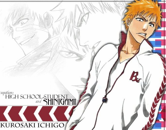 ichigocoolness[1]