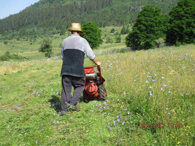  - Poze noi 2018 Tapul Petre la monta plante medicinale peisaje frumoase