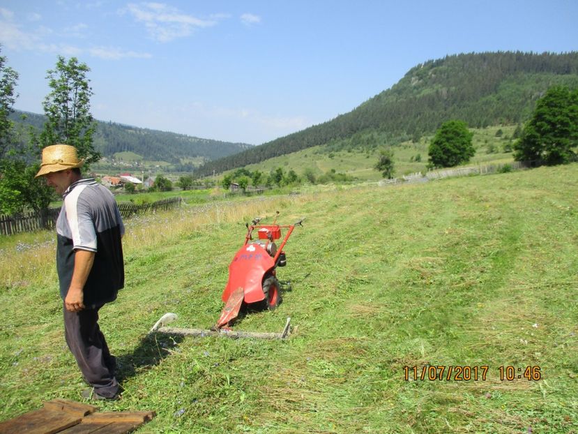  - Poze noi 2018 Tapul Petre la monta plante medicinale peisaje frumoase