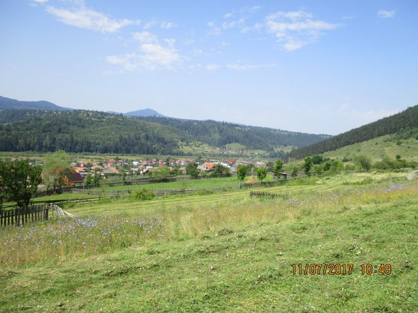  - Poze noi 2018 Tapul Petre la monta plante medicinale peisaje frumoase