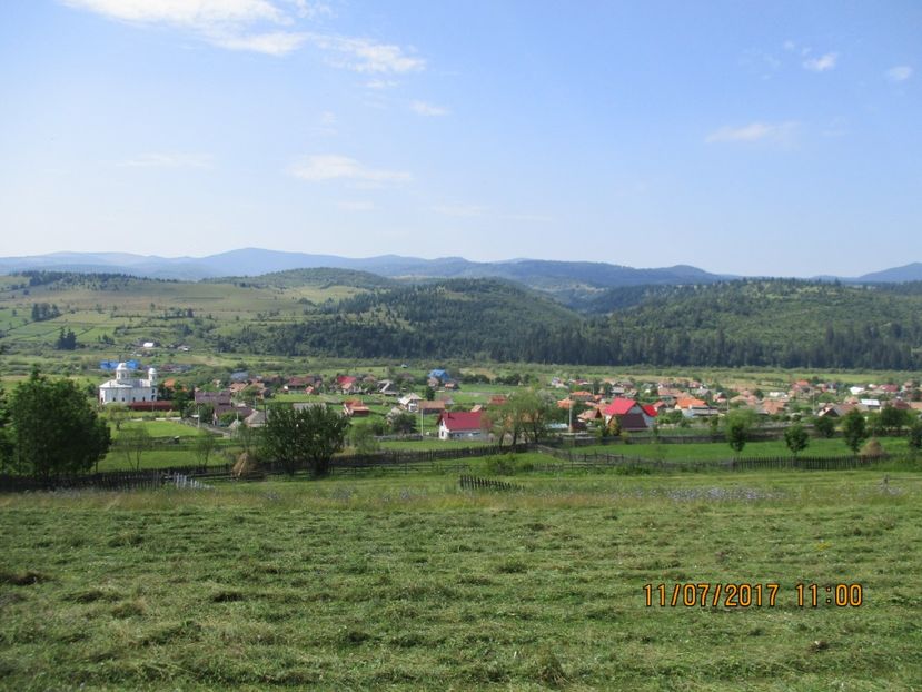  - Poze noi 2018 Tapul Petre la monta plante medicinale peisaje frumoase